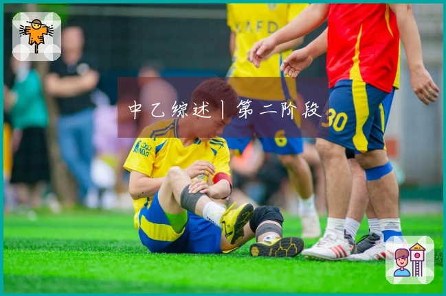 中乙综述丨第二阶段