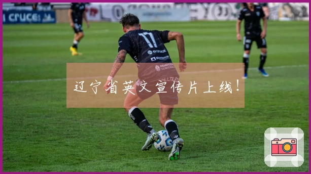 辽宁省英文宣传片上线！