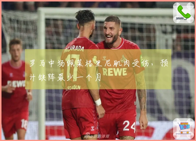 罗马中场佩莱格里尼肌肉受伤，预计缺阵最少一个月