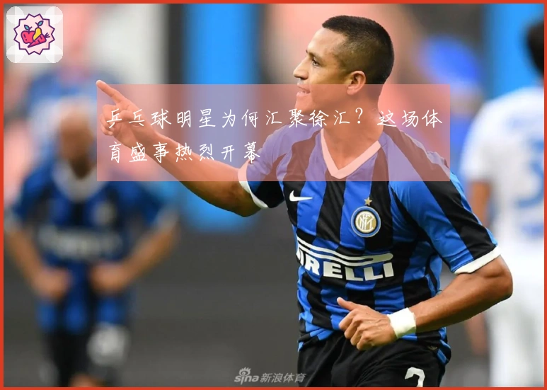 乒乓球明星为何汇聚徐汇？这场体育盛事热烈开幕